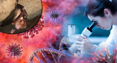 ১৫ গুণ বেশি ভয়ঙ্কর! আতঙ্ক আরো বাড়িয়ে তুলছে অন্ধ্রের নয়া করোনা স্ট্রেন 